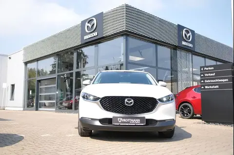 Annonce MAZDA CX-30 Essence 2020 d'occasion 