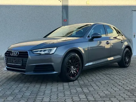 Used AUDI A4 Diesel 2016 Ad 