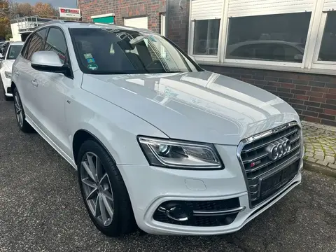 Annonce AUDI SQ5 Diesel 2017 d'occasion 