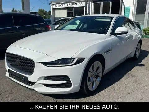 Used JAGUAR XE Diesel 2020 Ad 