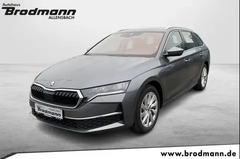 Annonce SKODA OCTAVIA Essence 2024 d'occasion 