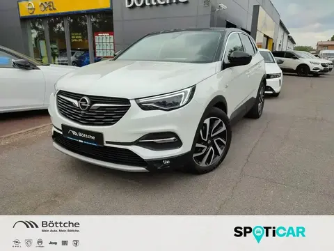 Annonce OPEL GRANDLAND Essence 2019 d'occasion 