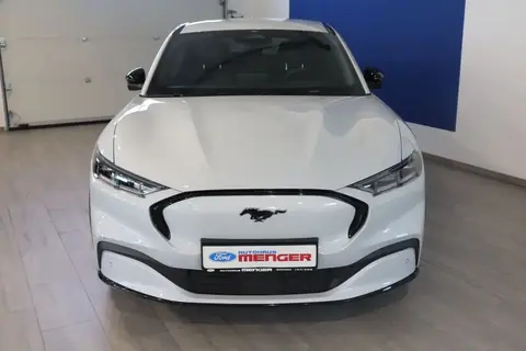 Used FORD MUSTANG Not specified 2021 Ad 