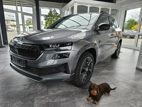 Annonce SKODA KAROQ Essence 2024 d'occasion 