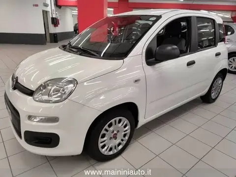 Used FIAT PANDA Hybrid 2021 Ad 