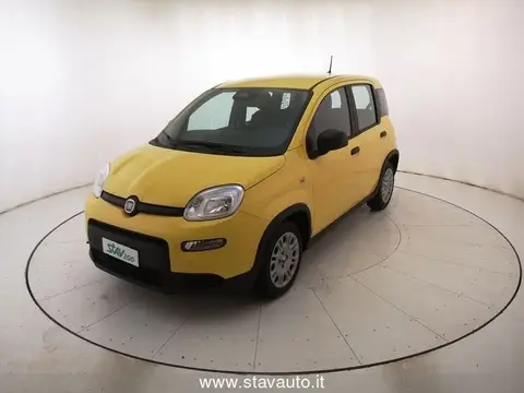 Annonce FIAT PANDA  2024 d'occasion 