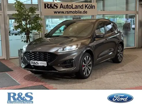 Annonce FORD KUGA Hybride 2023 d'occasion 