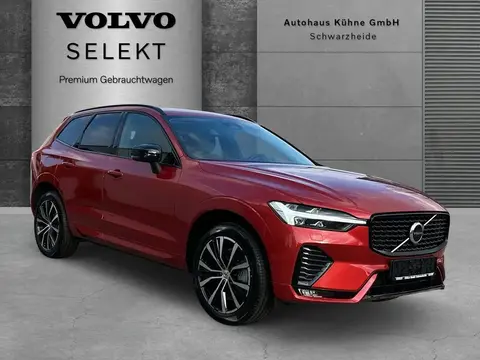 Annonce VOLVO XC60 Essence 2024 d'occasion 