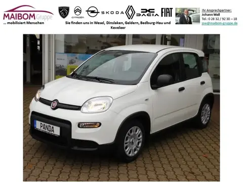 Used FIAT PANDA Petrol 2024 Ad 