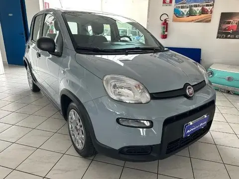 Used FIAT PANDA Hybrid 2022 Ad 