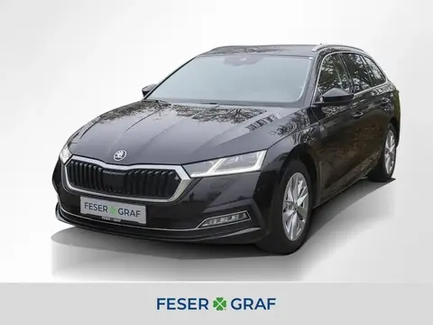 Annonce SKODA OCTAVIA Diesel 2021 d'occasion 