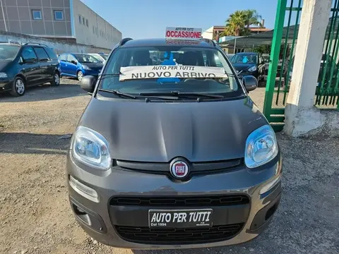 Used FIAT PANDA Petrol 2019 Ad 