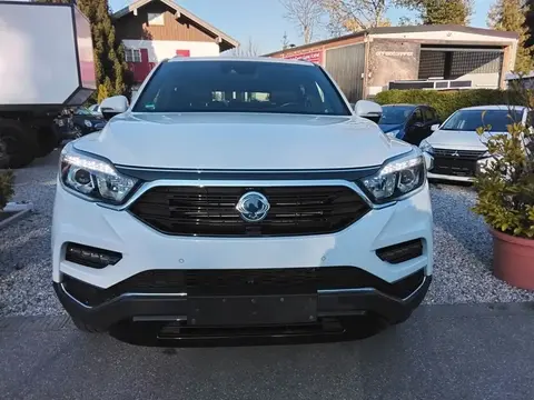 Used SSANGYONG REXTON Diesel 2019 Ad 