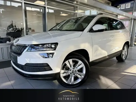 Annonce SKODA KAROQ Diesel 2019 d'occasion 