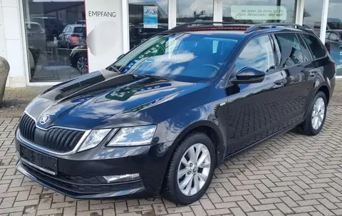 Annonce SKODA OCTAVIA Diesel 2019 d'occasion 