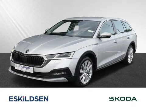 Annonce SKODA OCTAVIA Diesel 2021 d'occasion 