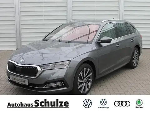 Used SKODA OCTAVIA Petrol 2023 Ad 