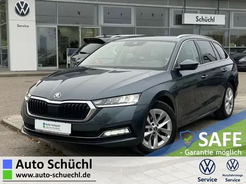 Used SKODA OCTAVIA Petrol 2021 Ad 