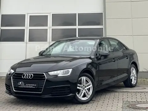 Annonce AUDI A4 Diesel 2016 d'occasion 