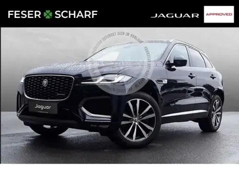 Used JAGUAR F-PACE Hybrid 2023 Ad 