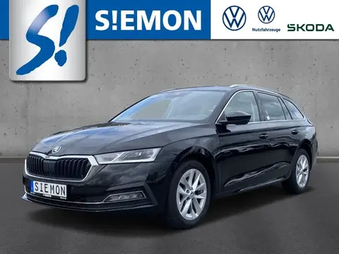 Annonce SKODA OCTAVIA Diesel 2020 d'occasion 