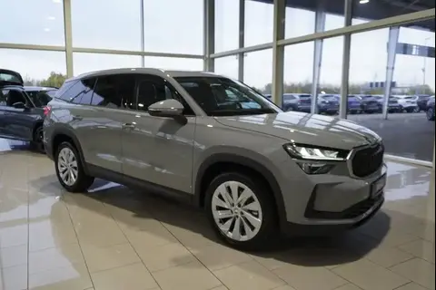 Used SKODA KODIAQ Diesel 2024 Ad 