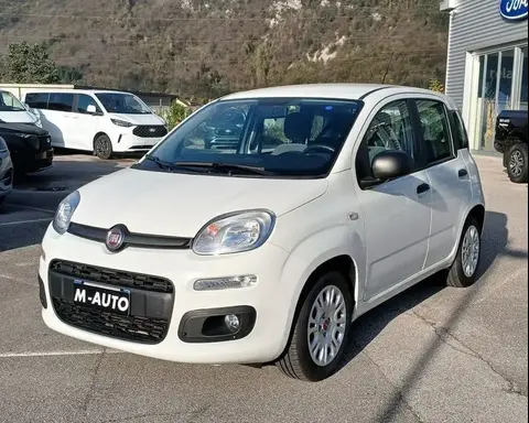 Used FIAT PANDA Hybrid 2021 Ad 