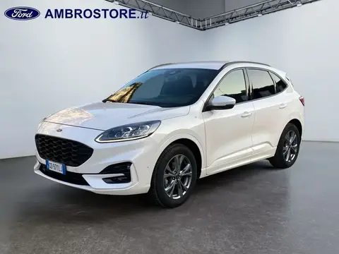 Used FORD KUGA Petrol 2021 Ad 