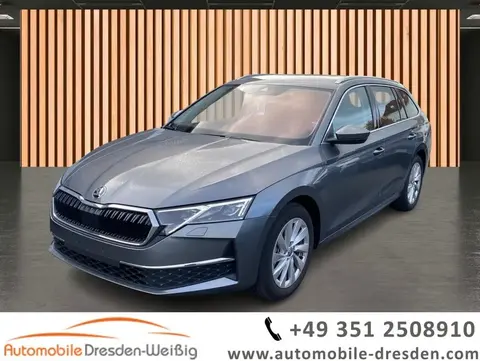 Used SKODA OCTAVIA Petrol 2024 Ad 