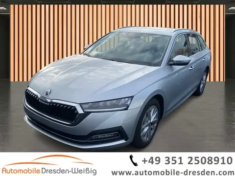 Used SKODA OCTAVIA Petrol 2024 Ad 