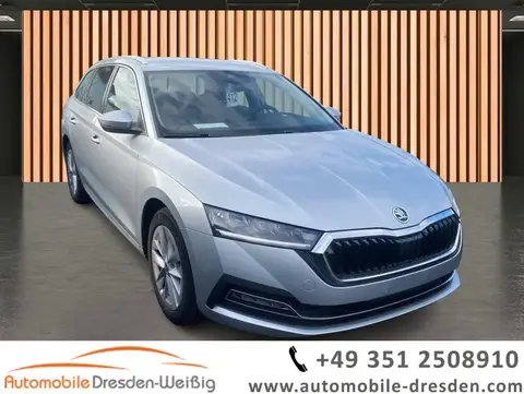 Used SKODA OCTAVIA Petrol 2024 Ad 