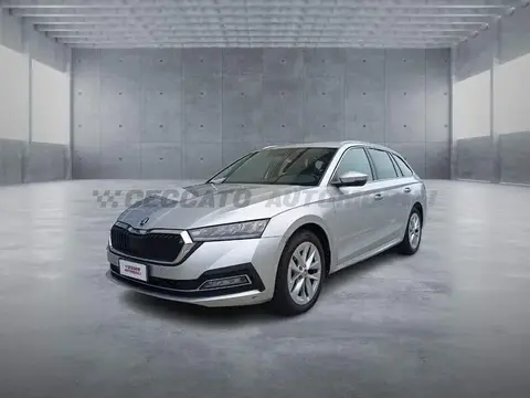 Annonce SKODA OCTAVIA Diesel 2023 d'occasion 