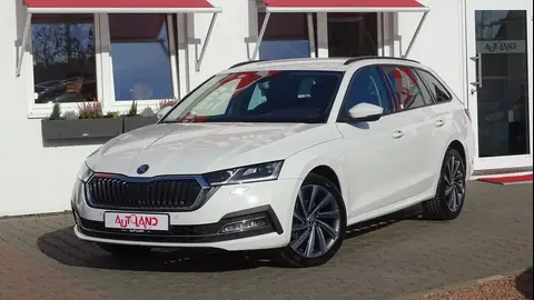 Annonce SKODA OCTAVIA Diesel 2021 d'occasion 