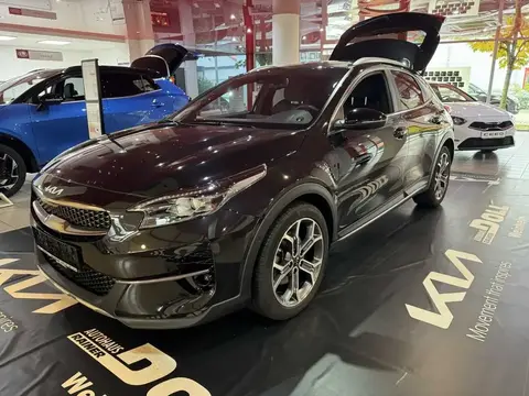 Annonce KIA XCEED Essence 2023 d'occasion 