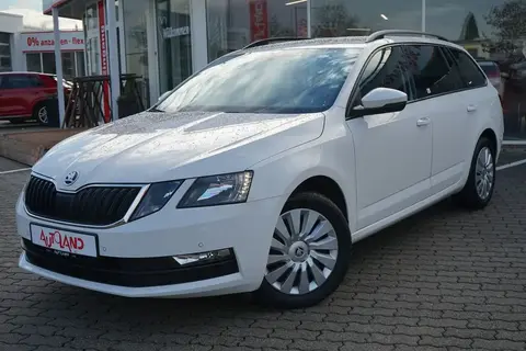 Annonce SKODA OCTAVIA Diesel 2020 d'occasion 