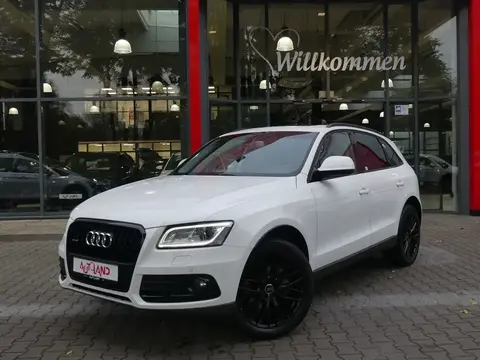 Used AUDI Q5 Diesel 2016 Ad 