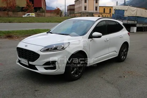 Annonce FORD KUGA Hybride 2023 d'occasion 