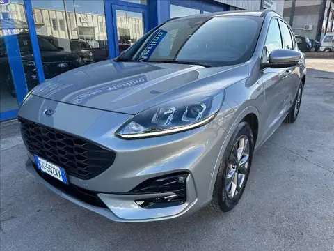 Annonce FORD KUGA Diesel 2022 d'occasion 