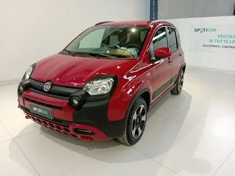 Used FIAT PANDA Hybrid 2024 Ad 