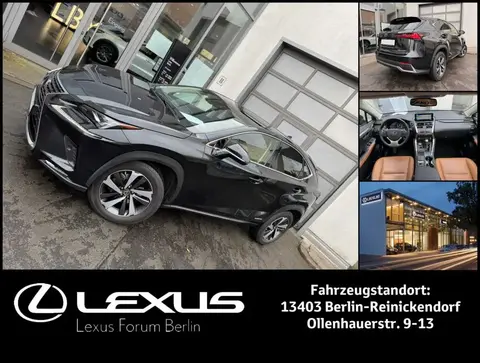 Used LEXUS NX Hybrid 2020 Ad 