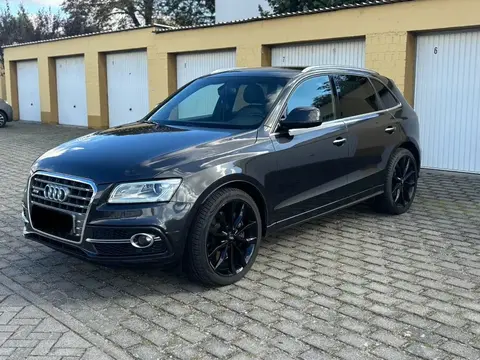 Annonce AUDI SQ5 Diesel 2016 d'occasion 