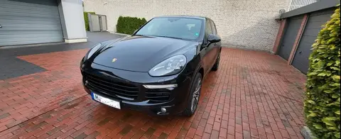 Used PORSCHE CAYENNE Diesel 2017 Ad 