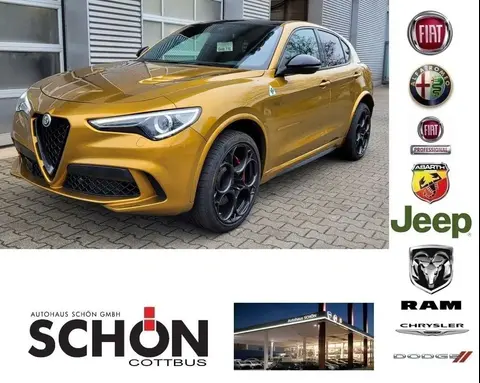 Used ALFA ROMEO STELVIO Petrol 2022 Ad 