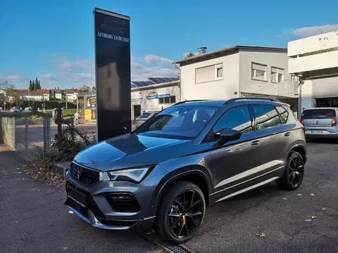 Annonce CUPRA ATECA Essence 2024 d'occasion 