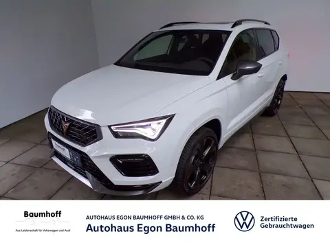 Annonce CUPRA ATECA Essence 2024 d'occasion 