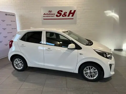 Annonce KIA PICANTO Essence 2021 d'occasion 