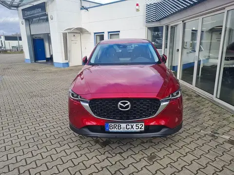 Annonce MAZDA CX-5 Diesel 2022 d'occasion 