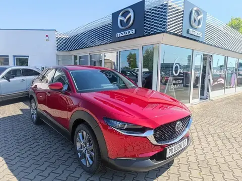 Annonce MAZDA CX-30 Hybride 2024 d'occasion 