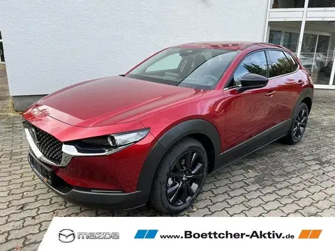 Annonce MAZDA CX-30 Essence 2024 d'occasion 