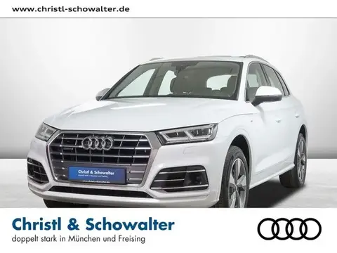 Used AUDI Q5 Diesel 2020 Ad 